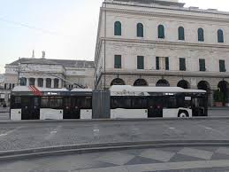 Trend Google: filobus