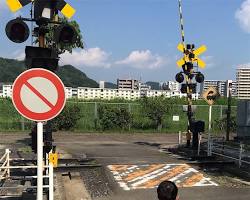 大芝交通ランド 信号機の画像