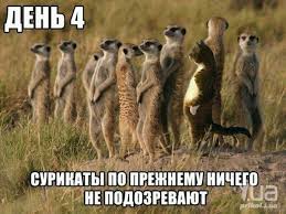 В зоне АТО тихо: новых обстрелов не зафиксировано, - СНБО - Цензор.НЕТ 9435