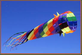 Image result for kites