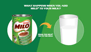 Image result for milo