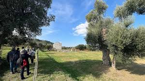 Trend Google: cupra marittima