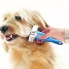 Story image for Best Pet Supplies Pet Grooming Supplies Pet Combs Brushes For Sale from Pet Age