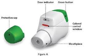 Image result for dpi inhaler