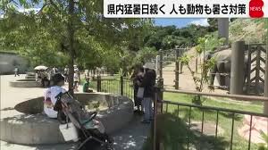 Yahoo!ニュース - News update