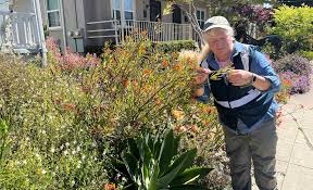 The Wildlife Society - News update