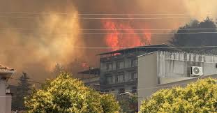 BURSA BÜYÜKŞEHİR BELEDİYESİ - News update
