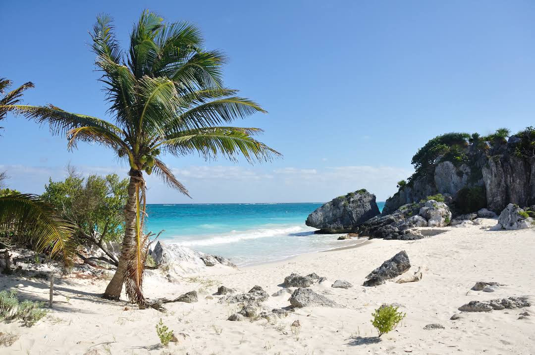 Find Cheap Flights Options to Riviera Maya Google Flights