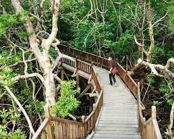 Image of Taman Wisata Hutan Mangrove Pariaman
