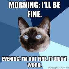 Image result for Im fine meme