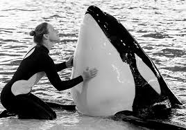 Laura SeaWolf Photography