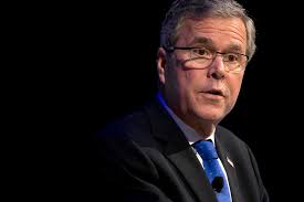 Image result for jeb bush