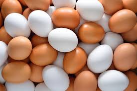 Image result for Eggs