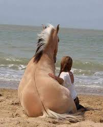 Happy Sunday 🫶🏼