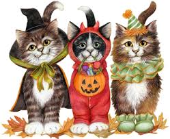 Résultat de recherche d'images pour "gif bonbons chats"