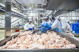 ¡Buenas Noticias! ¡Frango Brasileiro de Volta à Europa!🇵🇾🐔 - Imagen principal del artículo