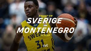 SVT Nyheter - News update