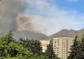 Diario Sur - News update
