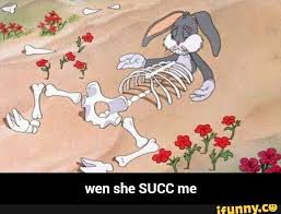 Image result for succ