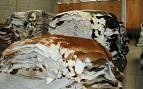 The Cowhide Company