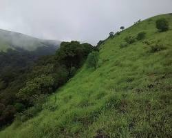 Image of Kodachadri Wildlife Sanctuary, Kodachadri Hills