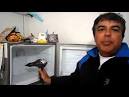 Problemas con las heladeras Whirlpool eHow en Espaol