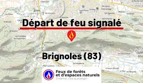 Feux de forêt - News update