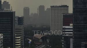 Tempo.co - News update