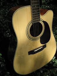 external image images?q=tbn:ANd9GcSxQjtlwBtw0fFu_uKHuu-PdUlQMdSVLN5sRiCIb5pceY5psjyl