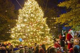 tree3