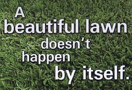 Lawn Mowing Quotes. QuotesGram via Relatably.com