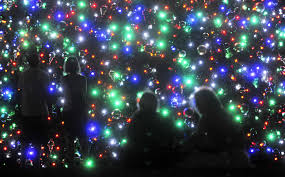 Image result for christmas lights