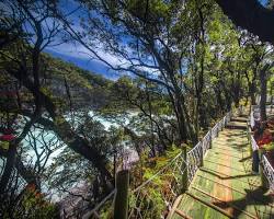 Gambar Skywalk Kawah Putih Ciwidey