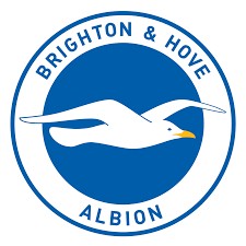 Brighton and Hove News - News update