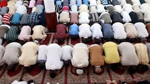 المشهد اليمني - News update