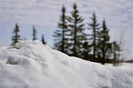 News source: CTV News