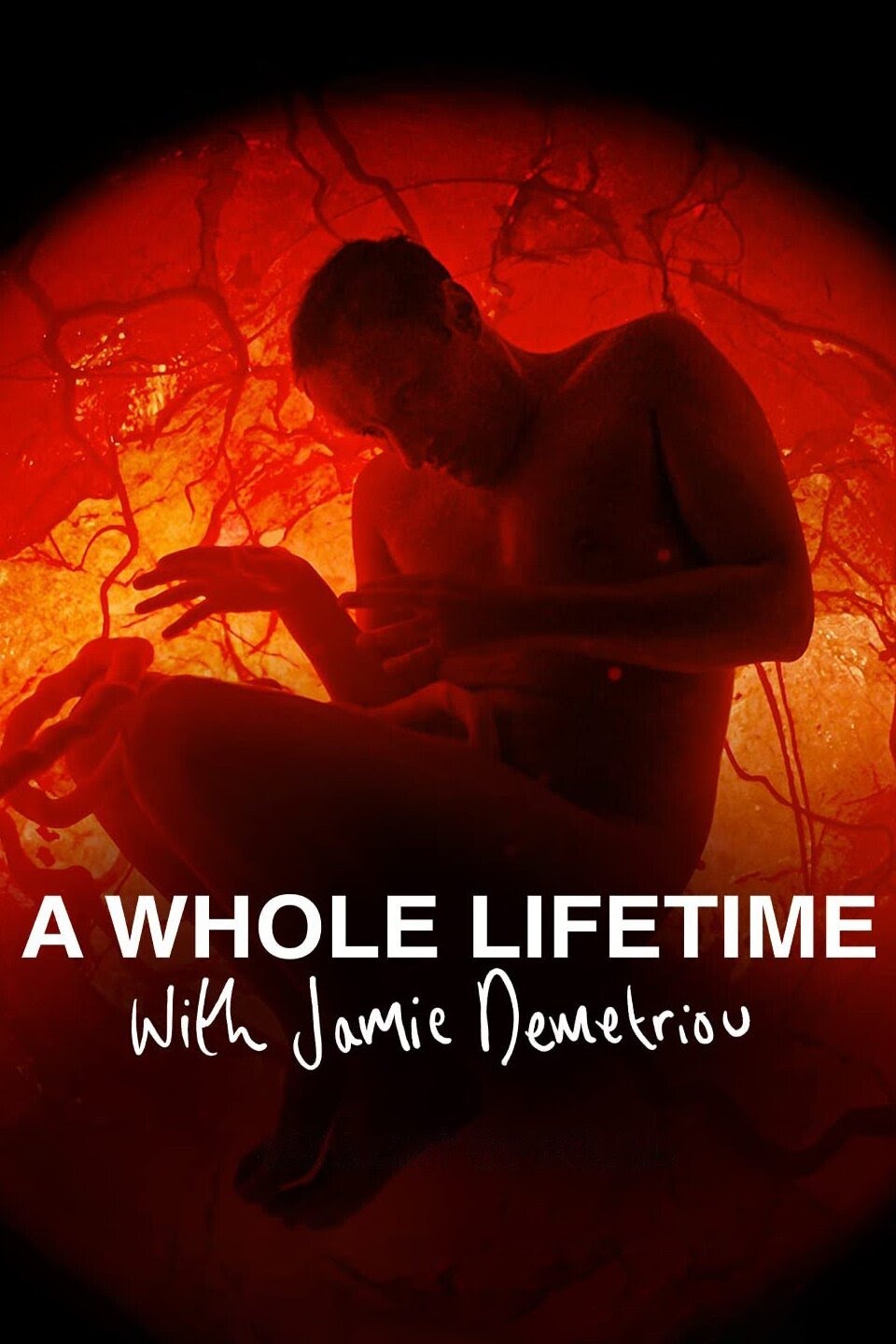 A Whole Lifetime With Jamie Demetriou