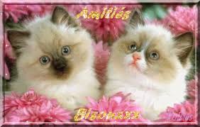 Résultat de recherche d'images pour "fees animees"