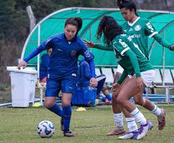 Federação Catarinense de Futebol - News update