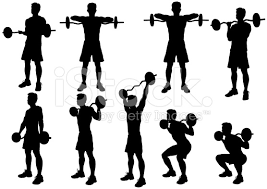 Image result for Free Weight Training