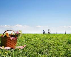 Image of Spring Bank Holiday in UK