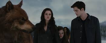 Risultati immagini per twilight