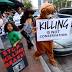 Bear hunt halted; nearly 300 killed in 2 days