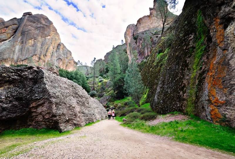 Pinnacles National Park