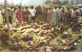 Resultado de imagen de agricultura guinea ecuatorial