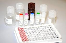 Image result for elisa kit