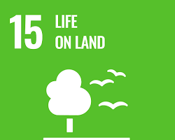 Εικόνα Life on Land SDG icon