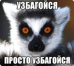 images?q=tbn:ANd9GcSyX6VekteK7sMshv_Z1huj3ArW6l1uf0V5q_3DqLSZxbtMNPU8