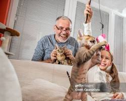 happy family playing with their new catの画像