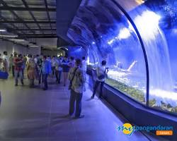 Image of Aquarium Indonesia Pangandaran
